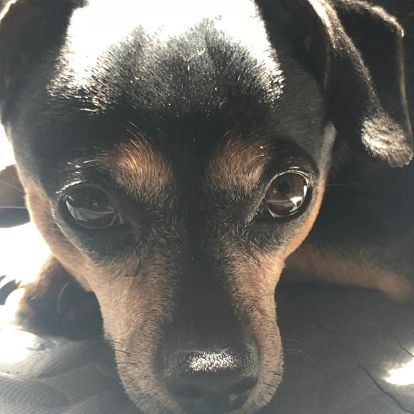 Meet your Posher, An - Picture 1 of 1